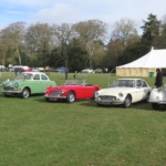 Our club cars in show arena