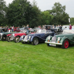 Nice collection of Morgans