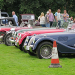 Nice collection of Morgans